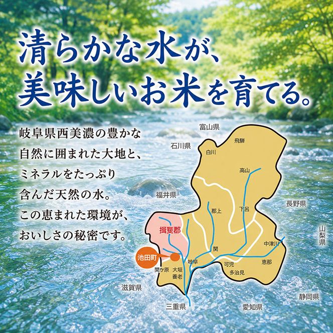 【令和7年産】特別栽培米 10kg【白米、7分ツキ】（コシヒカリ）