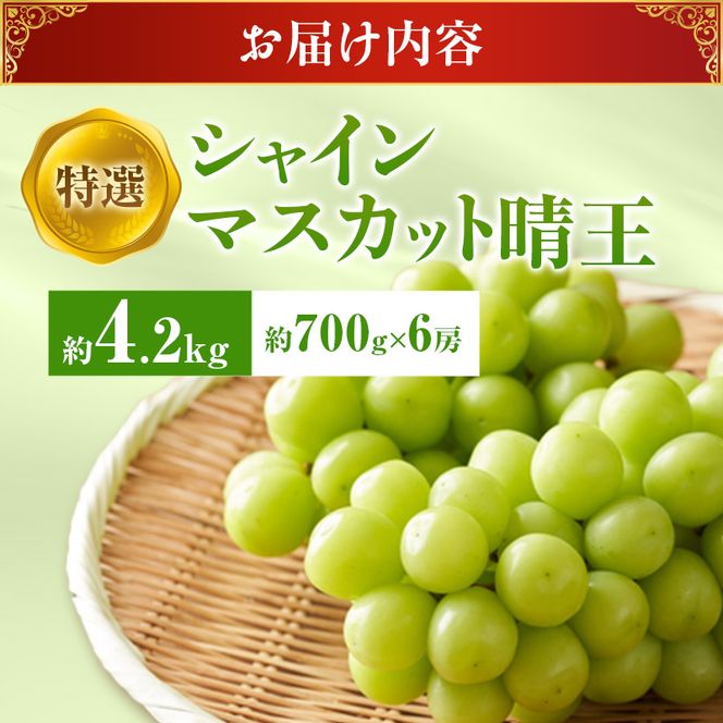 【2026年先行受付】 シャインマスカット 晴王 特選 大房 約700g 6房 化粧箱入 岡山県産 ぶどう 葡萄 ブドウ ギフト 御礼 プレゼント 御礼 御祝 御供 果物 くだもの フルーツ