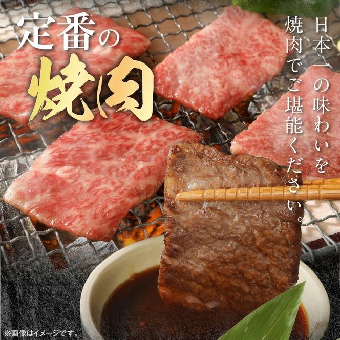 宮崎牛ウデ焼肉用500g N0147-YA772
