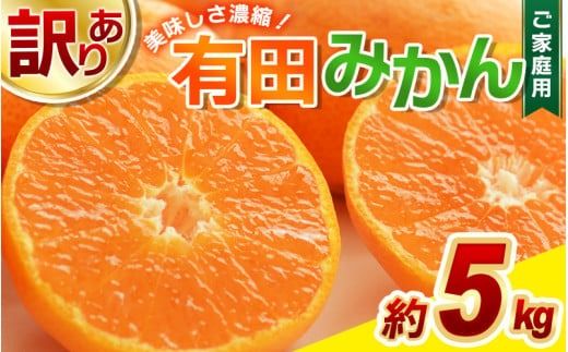 【訳あり】農家直送 有田みかん 約5kg ご家庭用 サイズ混合 ※2026年11月～2027年1月に順次発送予定（お届け日指定不可）※北海道・沖縄・離島への配送不可　訳ありみかん 温州みかんイズ混合 訳ありみかん 温州みかん 有機質肥料100% ふるさと納税 柑橘 有田 産地直送【nuk161E】