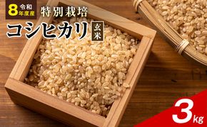 令和8年産 特別栽培米 コシヒカリ 玄米 3kg 静岡県産 色彩選別済 食に意識高い方へオススメ