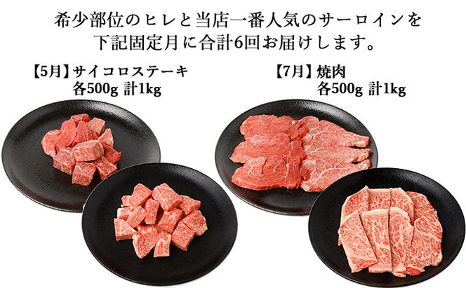 【年6回奇数月発送】伊賀牛 A5ヒレ・サーロイン 定期便A 総合計約6.1kg【dido-tkb0006】