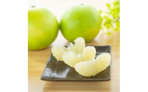 ＜厳選＞高知の宝石、水晶文旦3kg 〈2026年9月下旬～10月中旬発送〉先行予約 期間限定 水晶文旦 文旦 ブンタン ぶんたん 3キロ 柑橘 みかん フルーツ 果物 高知 名物 箱入り ギフト 高知県 土佐市【やの一果彩】[BQAC020]