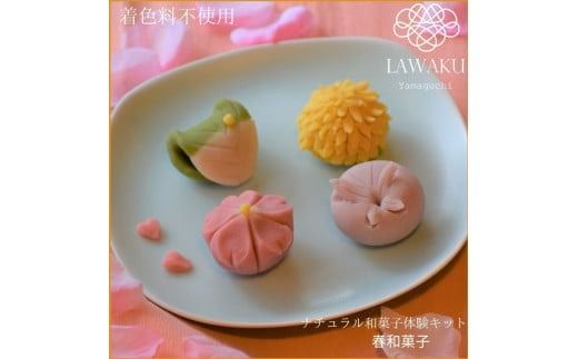 D075 ナチュラル和菓子体験キット（こしあん＆チョコあん）