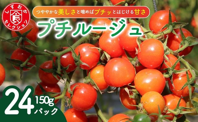 ミニ トマト プチルージュ 150g × 24パック 野菜 やさい 新鮮 旬の野菜 産地直送 高糖度 甘い プチ フルーツ ソース ジュース ケチャップ に