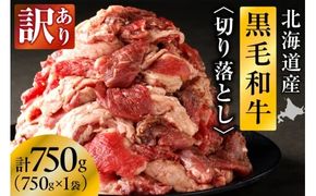 【訳あり】北海道産 黒毛和牛すじ切り落とし　750g×1袋｜北海道　国産　黒毛和牛　切り落とし　国産牛　お肉　牛肉　切落し　冷凍　小分け　パック　お取り寄せ　贅沢　おすすめ　送料無料　滝川市
