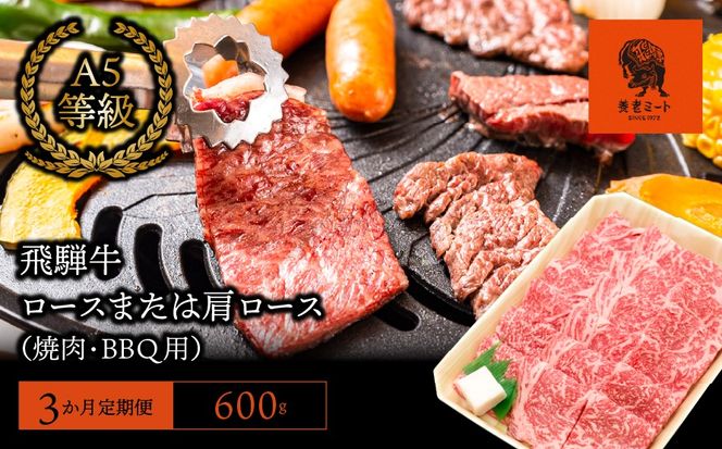 AJ-16 【3か月定期便】【飛騨牛】ロースまたは肩ロース600g (焼肉・BBQ用)