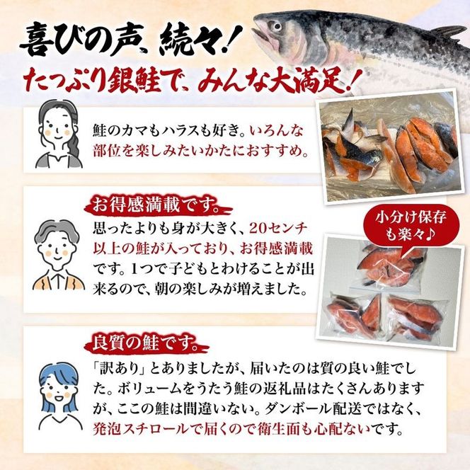 【 2ヶ月 連続 定期便 】訳あり 銀鮭 切り身 1.4kg セット 詰め合わせ 鮭 サケ