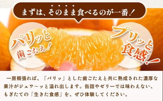 家庭用 はっさく1.5kg+250g（傷み補償分）