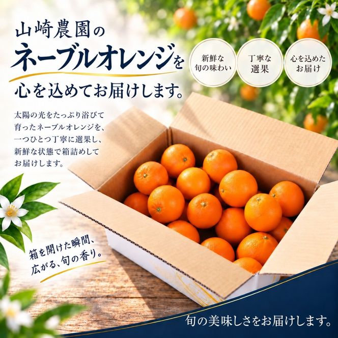 ネーブルオレンジ 約5kg サイズおまかせ アルギット 栽培 国産 甘い おいしい ジューシー 皮 薄い 完熟 期間限定 フルーツ 果物 人気 おすすめ 高級 こだわり ギフト 旬 山崎農園 和歌山 DT24