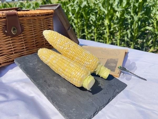 2026年産 とうもろこし ドルチェドリーム 4kg ｜茨城県産 産地直送 甘い あまい ※2026年6月～発送