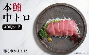 南紀串本よしだ 本鮪 中トロ サク 400g×2 合計 800g 303446_DR003