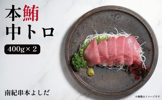 南紀串本よしだ 本鮪 中トロ サク 400g×2 合計 800g 303446_DR003