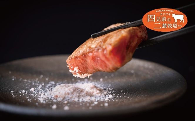 A4･A5「二麓（にろく）霜降り」黒毛和牛（大判）ひとくちステーキ 500g（250g×2） ニセコ連峰と鈴鹿山脈、二つの麓（ふもと）で育てた脂の質にこだわった美味しい霜降りをリーズナブルに│牛肉 国産牛 ブランド牛 冷凍便 年末年始 お正月 焼肉 BBQ 三重県 四日市市 ふるさと納税