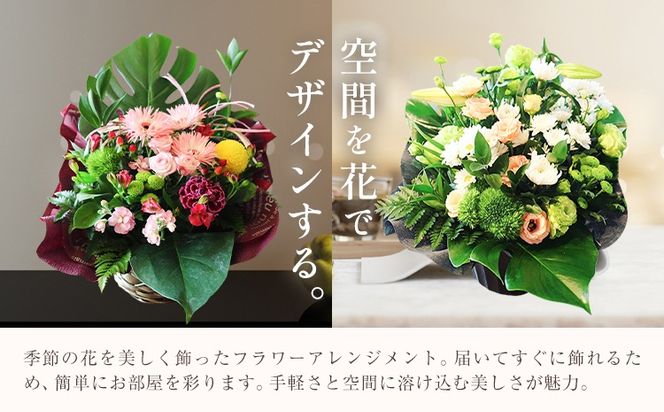 花 プレゼント 贈り物 季節のフラワーアレンジメント GOLDEN GREEN 《30日以内に出荷予定(土日祝除く)》 植物 お花 お祝い　フラワーアレンジメント【配送不可地域あり】---yuki_gg_2_1s---