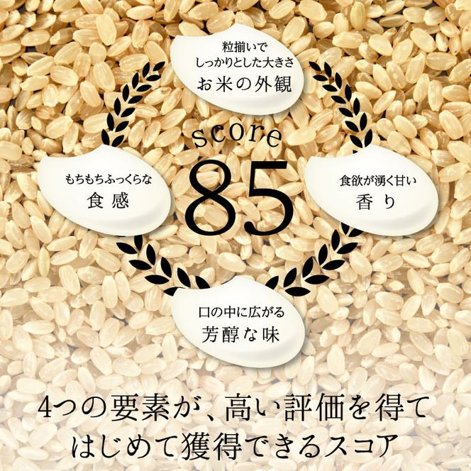 特別栽培米 コシヒカリ ヒロシノキモチ 玄米 5kg ブランド米 銘柄米 国産 米 お米 日本米 ギフト 贈り物 備蓄 防災 食品 陽咲玲 はるざれ F6T-988