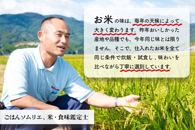 【令和7年産 新米】ごはんソムリエが厳選 無洗米 さがびより 10kg【神埼市産 米 お米 無洗米 精米 白米 10kg 5kg×2 さがびより ブランド米 食味鑑定士】(H063147)