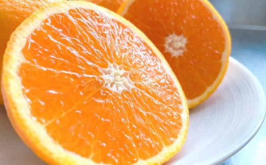 【濃厚】有田産清見オレンジ約5kg（サイズおまかせ 青秀以上） ※2027年2月中旬～2027年3月中旬頃発送予定（お届け日指定不可） / くだもの フルーツ 柑橘 オレンジ 清見オレンジ 和歌山 みかん【tec958】