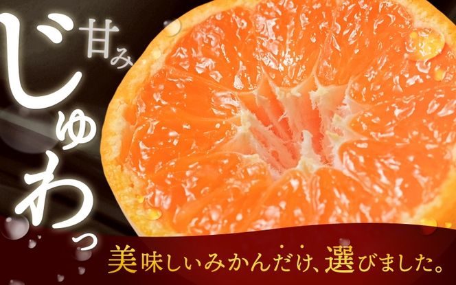 《極》 有田みかん 「プレミアム」 約5kg【選りすぐりの上位20％をお届け！】2S～Lサイズ 有機質肥料100% ※2026年11月～2027年1月上旬頃順次発送 ※北海道・沖縄・離島への配送不可 / ミカン 蜜柑 柑橘 フルーツ くだもの 果物 温州 有田 甘い 高級 贈答品 贈り物 新鮮 【nuk155H】