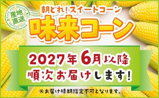 【先行受付】朝どれ!!都城産スイートコーン(味来コーン)5kg 15本以上_13-B4-001-6_(都城市) 朝どれ とうもろこし スイートコーン 5キロ 約15本以上 産地直送 みずみずしい あまい