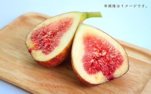 福岡ブランド！ とよみつひめ セミドライフルーツ 5個セット いちじく 無花果 イチジク フルーツ スイーツ 果物 くだもの