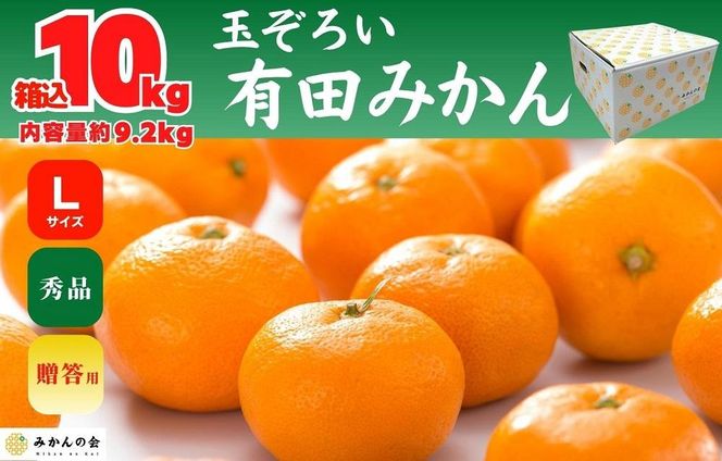 みかん Lサイズ 秀品 箱込 10kg (内容量約 9.2kg) 有田みかん 和歌山県産 産地直送 贈答用 【みかんの会】 AX198