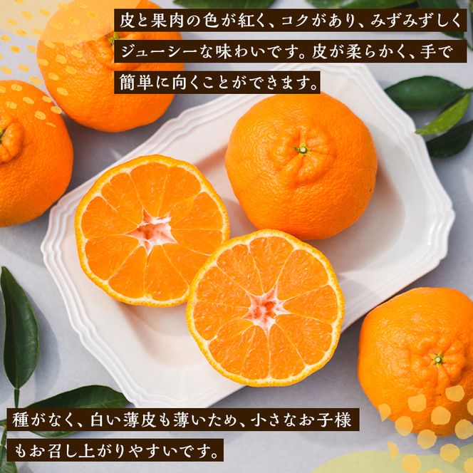 ＜先行予約受付中！2027年2月中旬以降順次発送予定＞数量限定！おおの果樹園の「大将季」(計3kg) 果物 フルーツ 果実 柑橘 ハウス栽培 無加温 みかん【おおの果樹園】akn087-03