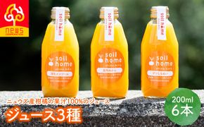 ジュース3種6本(200ml×6本) IKTF040