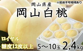 桃 2026年 先行予約 岡山 白桃 ロイヤル 5～10玉 約2.4kg JAおかやまのもも（早生種・中生種） もも モモ 岡山県産 国産 フルーツ 果物 ギフト