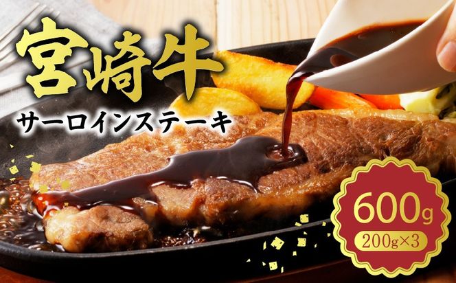 y{茧sz{苍 T[CXe[L600g N0140-YB727