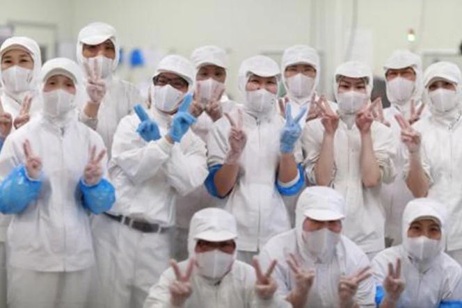 BJ030 岩崎本舗 【3回定期便】長崎角煮まんじゅう 10個入 (箱) [長崎県 島原市]