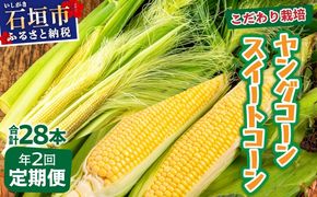 【先行予約2026年1月〜5月配送】1番遅くて1番早い！？ プレミアムヤングコーンとスイートコーンのよくばり定期便！！朝採れを皮付きのままお届け！！