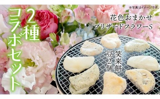 【 筑西市 ふるさと納税限定 コラボ 】 《 季節のお花アレンジメントS 》《 笑来餅 2個 セット（白2個） 》 アレンジメント 生花 ギフト プレゼント 誕生日 記念日 敬老 餅 もち もち米 [ZZ047ci]