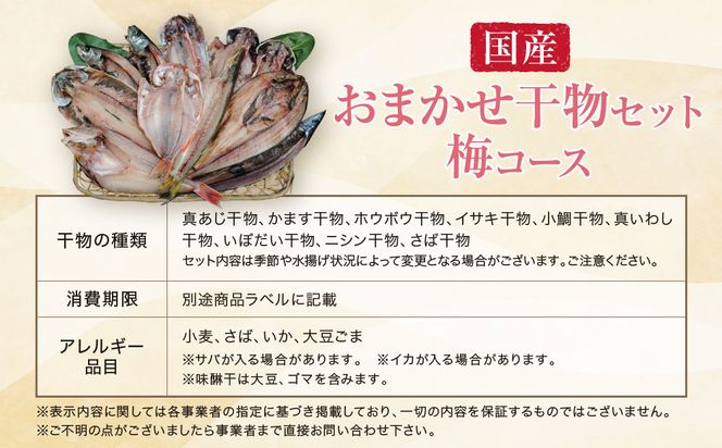 【国産】おまかせ干物セット 梅コース【お取り寄せ 海鮮 グルメ ギフト プレゼント 産地直送 産直 魚 手作り ひもの 詰め合わせ お中元 お歳暮 父の日 母の日 誕生日 自宅用 贈答品 贈答用 朝食 バーベキュー 神奈川県 小田原市 】 142069_AM003