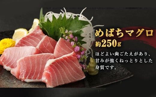 船元が直送! 厳選 天然 マグロ 2種 650g以上 | メバチ鮪250g ビンチョウ鮪400g 目鉢 鬢長 セット まぐろ 食べ比べ めばちまぐろ びんちょうまぐろ 刺身 さしみ 刺し身 冷凍 漬け 海鮮 丼 父の日 高知県 室戸市 ge001