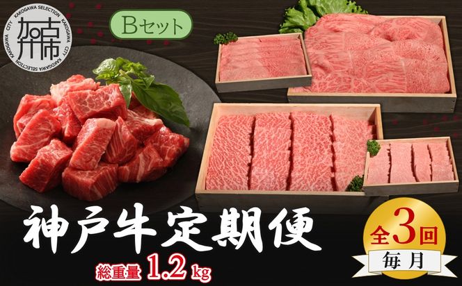 神戸牛定期便 B 【全3回】《 肉 牛肉 神戸牛 スライス肉 ももかた すき焼き 焼肉 ステーキ 計1.2kg 定期便 冷凍 》【2505A16918】