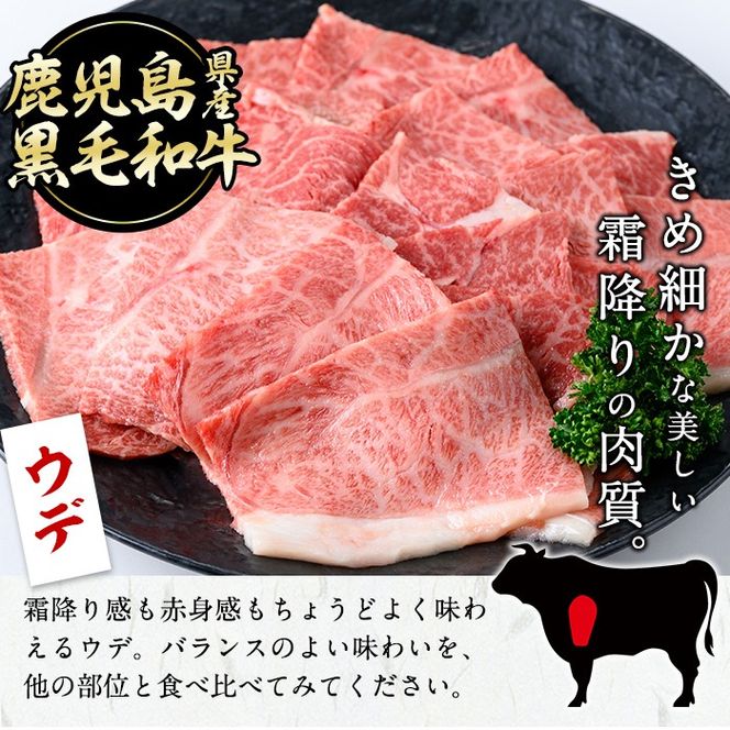 【焼肉3種！食べ比べセット】鹿児島県産黒毛和牛 モモ・肩ロース・ウデの焼肉3種セット＜計600g＞ a6-048