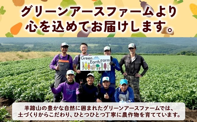 【 2026年 出荷 】 北海道産 朝もぎ イエロー とうもろこし 味来 みらい 2Lサイズ 26本 約10kg 夏野菜 とうきび 新鮮 野菜 トウモロコシ 甘い ギフト 産地直送 コーン 産直 グリーンアースファーム
