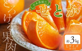 【先行予約】Lサイズ 15～17玉 石本農園のハウスせとか 約3kg 【2027年2月中旬～下旬に順次発送予定】【mis022】