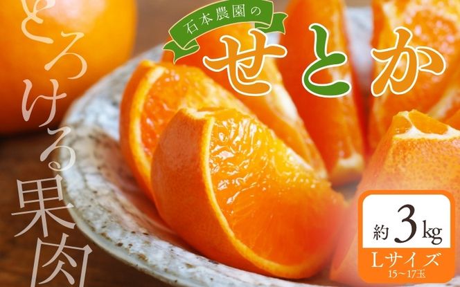 【先行予約】Lサイズ 15～17玉 石本農園のハウスせとか 約3kg 【2027年2月中旬～下旬に順次発送予定】【mis022】