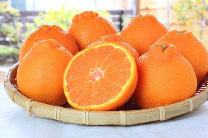 【ご家庭用訳あり】紀州有田産不知火(しらぬひ) 約3kg 【予約】※2027年2月中旬頃〜2027年3月中旬頃に順次発送予定(お届け日指定不可)【uot830A】