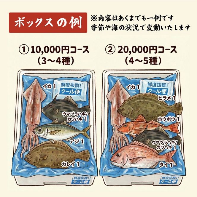 【下処理あり】 朝獲れ 鮮魚 ボックス 大漁便 魚種 4～5種 三陸 朝獲れ直送 冷蔵 魚種お任せ 水揚げ 海鮮 魚介 産地直送 新鮮 天然 魚 詰め合わせ 鮮魚便 鮮魚セット 下処理 三陸産 国産 海鮮 旬 岩手県 大船渡市 2万円 20000円
