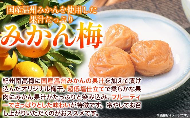 高級南高梅みかん梅 400g入 紀州塗箱 網代模様仕上 澤株式会社《90日以内に出荷予定(土日祝除く)》和歌山県 日高町 梅干し 梅 うめ ウメ 南高梅 みかん みかん梅 紀州南高梅 紀州塗 送料無料---wsh_swa21_90d_25_14000_400g---