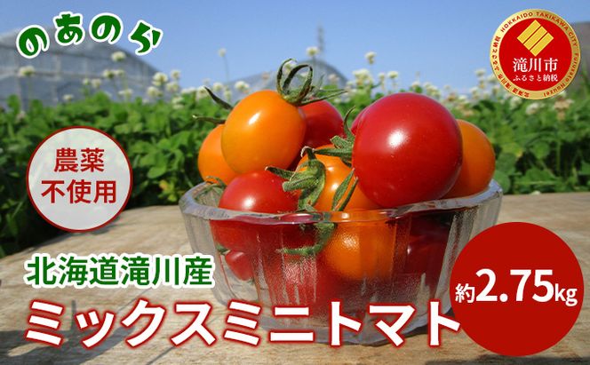 【2026年産先行受付】【栽培期間中 農薬不使用 】 北海道 滝川市 産 ミックス ミニトマト 約2.75kg （2026年7月中旬発送） トマト 野菜 やさい みにとまと