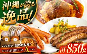 『NUCHIBUTA Aセット』 豚肉 ハンバーグ ソーセージ 詰め合わせ お取り寄せ 国産 ギフト 冷凍 沖縄市 / DELICATESSEN NUCHIBUTA [BCAR003]
