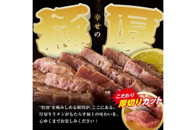 【訳あり】贅沢！やわらか！至福の時間！！厚切り塩だれ牛タン！！1kg（250g×4パック）（2026年1月上旬～発送）　YK00465