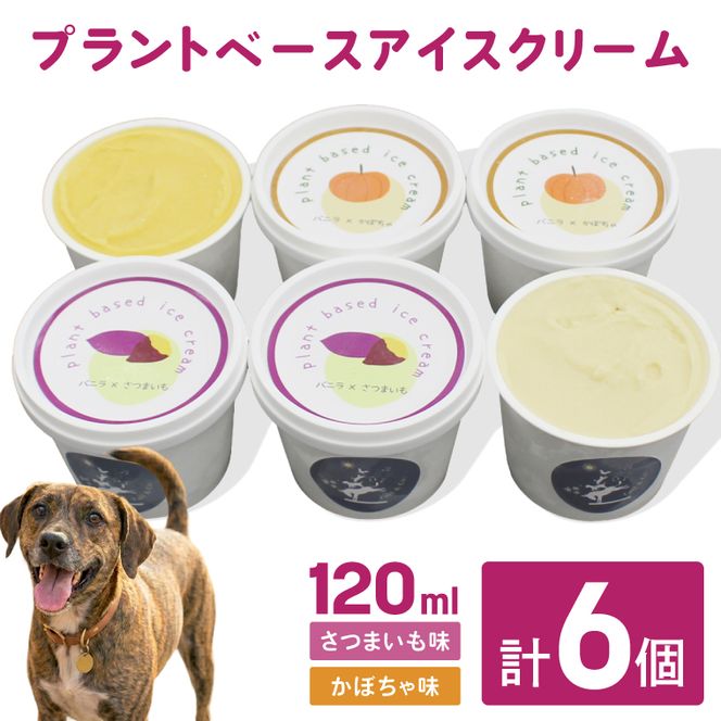 プラントベースアイスクリームセット　for humans and dogs さつまいも味・かぼちゃ味｜茨城県 行方市 ふるさと納税 アイス お菓子 植物性ミルク 豆乳 スイーツ デザート（HZ-2）