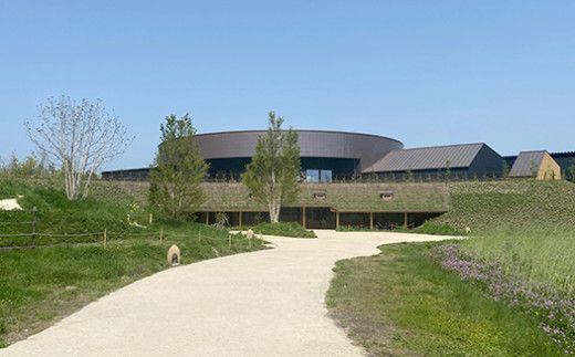 【クラブハリエ】【限定】近江八幡バームクーヘンｍｉｎｉ１２個入 シェアボックス 個包装【FC08W】