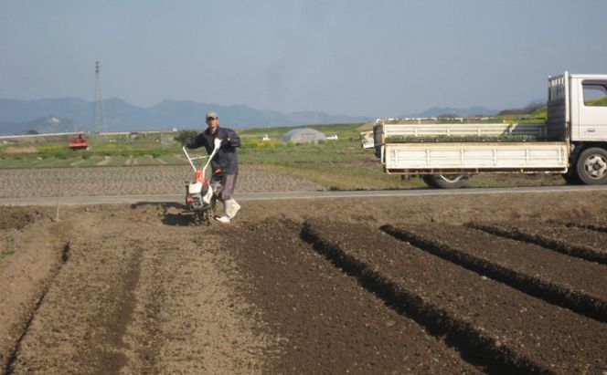 米 5kg 季節野菜 セット 玄米 ゆめつくし お米 詰合せ 福岡県産 