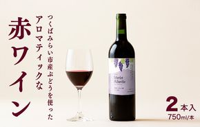 つくばみらい市産ぶどうを使った「 アロマティックな 赤ワイン 」2本入 ワイン お酒 酒 フルーツ 果物 果実酒 ブドウ おつまみ 贈り物 お取り寄せ プレゼント 記念日 [CZ13-NT]